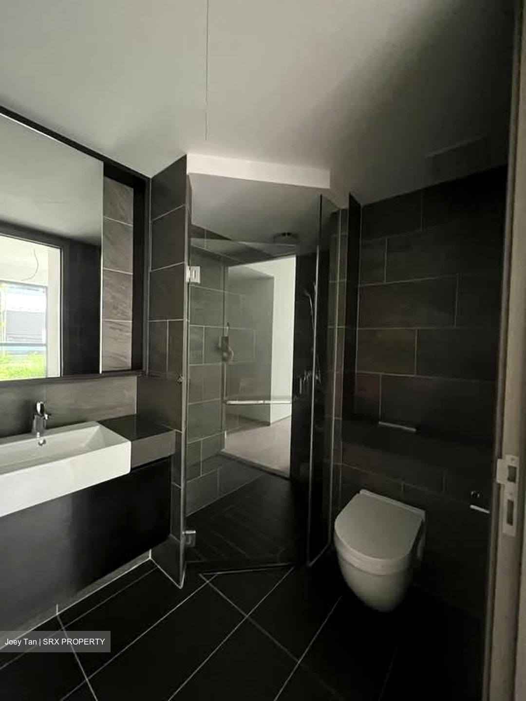 Affinity At Serangoon (D19), Apartment #582643981